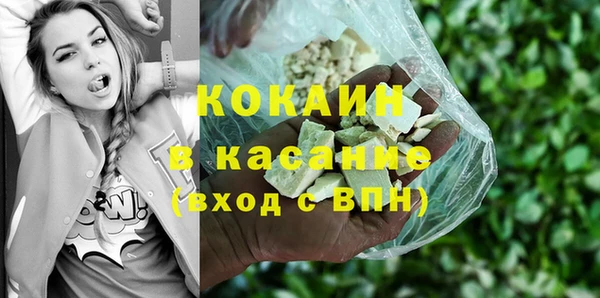 шишки Алзамай