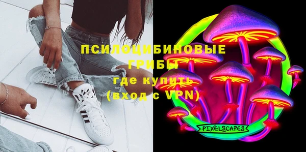 хмурый Алексеевка