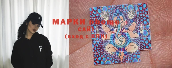 шишки Алзамай
